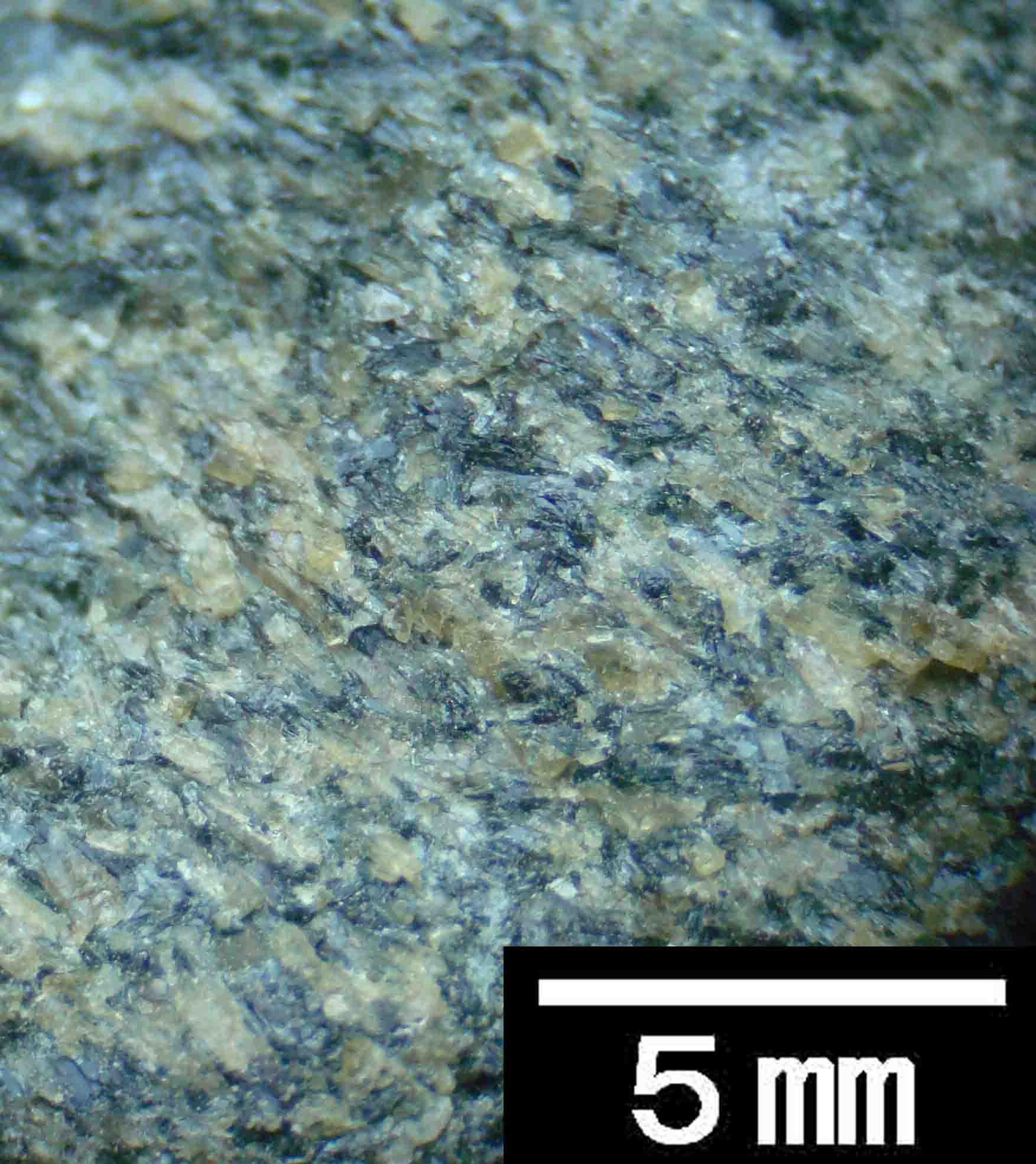 さざれ石（石灰質角礫岩 W28.5cm/D23.2cm/H12.6cm）091 さざれ石（石灰質角礫岩 W28.5cm/D23.2cm/H12.6cm）091 角礫岩